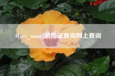河源消防证查询网上查询