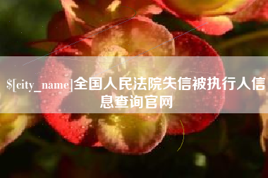 河源全国人民法院失信被执行人信息查询官网