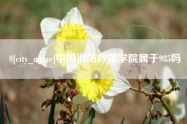 河源中国消防救援学院属于985吗