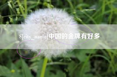 河源中国的金牌有好多