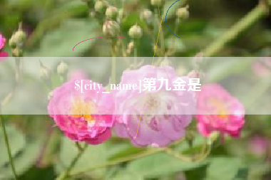 河源第九金是