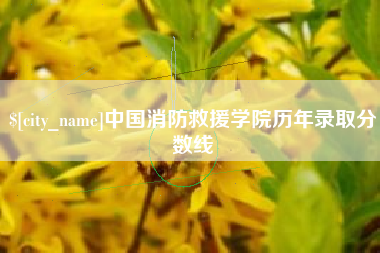 河源中国消防救援学院历年录取分数线