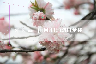 河源11月9日消防日全称