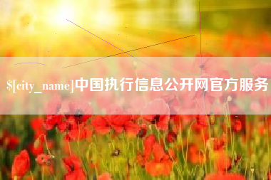 河源中国执行信息公开网官方服务
