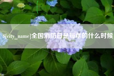 河源全国消防日是每年的什么时候