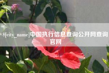 河源中国执行信息查询公开网查询官网