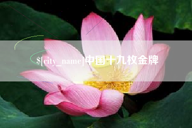 河源中国十九枚金牌