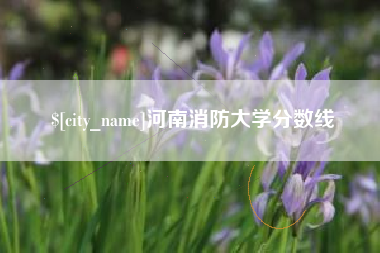 河源河南消防大学分数线