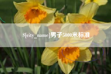 河源男子5000米标准