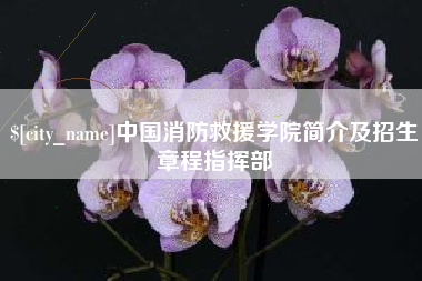 河源中国消防救援学院简介及招生章程指挥部