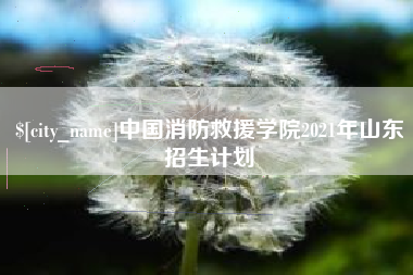河源中国消防救援学院2021年山东招生计划