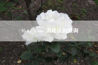 河源消防证的查询