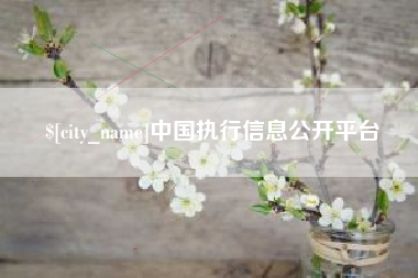 河源中国执行信息公开平台