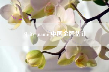 河源中国金牌估计