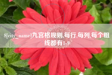 河源九宫格规则,每行,每列,每个粗线都有1-9