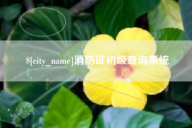 河源消防证初级查询系统