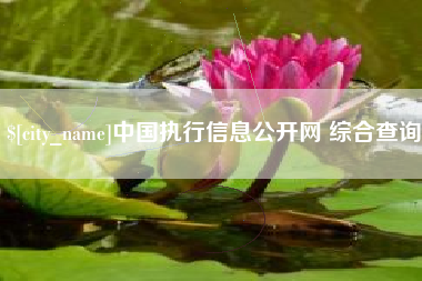 河源中国执行信息公开网 综合查询