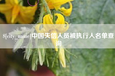 河源中国失信人员被执行人名单查询