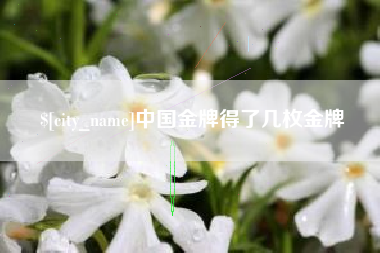 河源中国金牌得了几枚金牌
