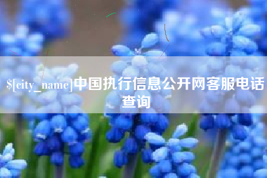 河源中国执行信息公开网客服电话查询