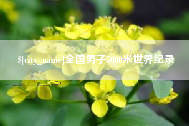 河源全国男子5000米世界纪录