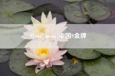 河源中国9金牌