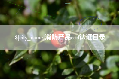 河源消防产品cccf认证目录