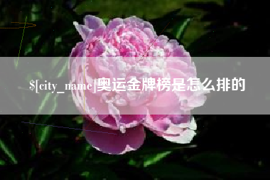 河源奥运金牌榜是怎么排的