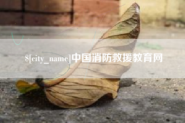 河源中国消防救援教育网