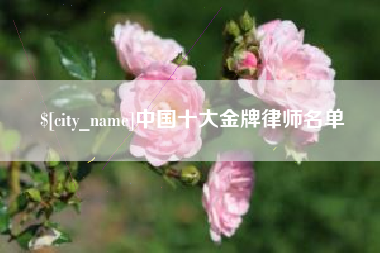 河源中国十大金牌律师名单