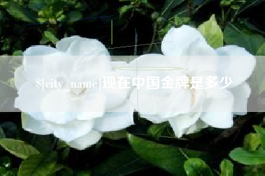 河源现在中国金牌是多少