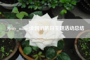 河源全国消防日主题活动总结