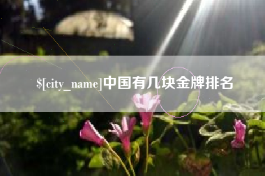 河源中国有几块金牌排名