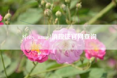 河源消控证官网查询