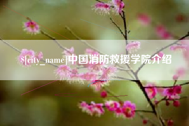 河源中国消防救援学院介绍