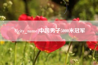 河源中国男子5000米冠军