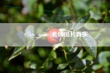 河源金牌图片真实