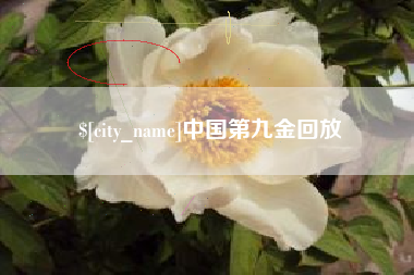 河源中国第九金回放