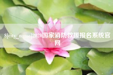 河源2020国家消防救援报名系统官网