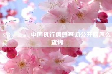 河源中国执行信息查询公开网怎么查询
