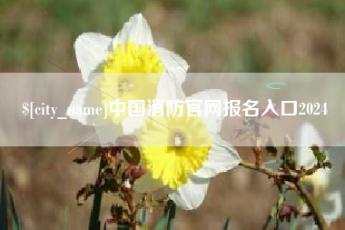 河源中国消防官网报名入口2024