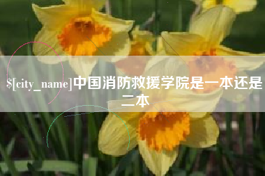 河源中国消防救援学院是一本还是二本