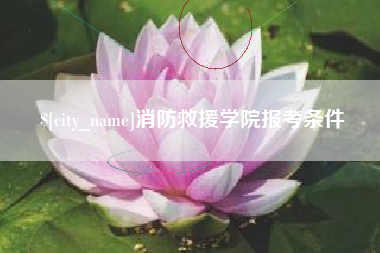 河源消防救援学院报考条件