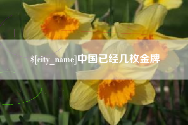 河源中国已经几枚金牌