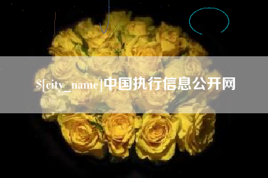 河源中国执行信息公开网