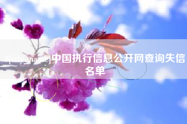 河源中国执行信息公开网查询失信名单