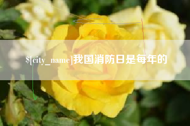 河源我国消防日是每年的