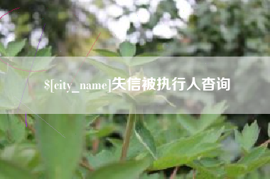河源失信被执行人杳询