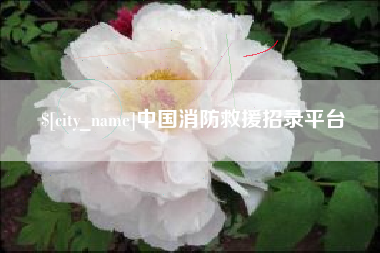 河源中国消防救援招录平台