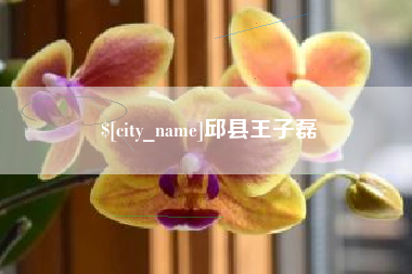 河源邱县王子磊